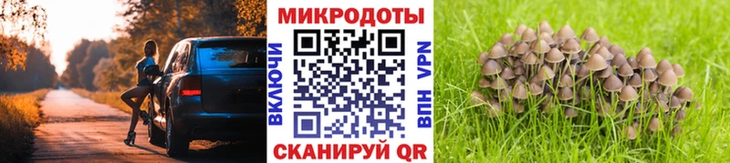Купить  Кувшиново  Галлюциногенные грибы Magic Shrooms 